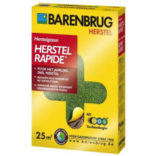 BB HERSTEL RAPIDE 500 GRAM