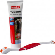 TANDPASTA/BORSTEL COMBIPACK 1 X 1 ST.