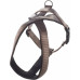HOND HARNAS CROSS ABBI TAUPE S 43CM 52-60CM 25MM