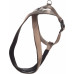 HOND HARNAS CROSS ABBI TAUPE XL 62CM 70-90CM 25MM