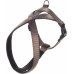 HOND HARNAS CROSS ABBI TAUPE XS 36CM 48-55CM 20MM