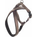 HOND HARNAS CROSS ABBI TAUPE XXS 28CM 42-50CM 15MM