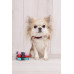 HOND HALSBAND ZIGGI KERSENROOD XXS 15-25CM 10MM