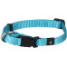 HOND HALSBAND ZIGGI TURKOOIS XS 20-35CM 10MM