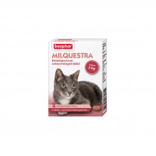 MILQUESTRA KAT 2 1 X 2 TAB.