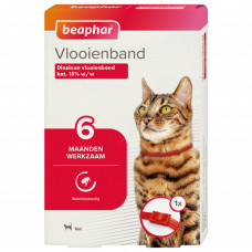 VLOOIENBAND KAT ROOD 1 X 1 ST.