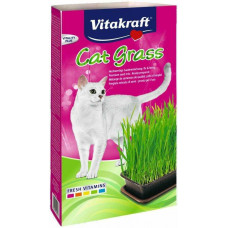 CAT GRAS 120GR