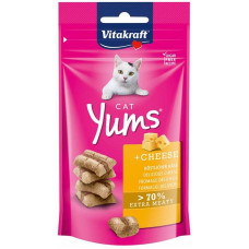 CAT YUMS KAAS KAT 40 GR