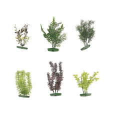 AQUARIUM PLANT ASSORTIMENT - M