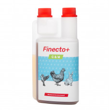 FINECTO+ C&W 500 ML