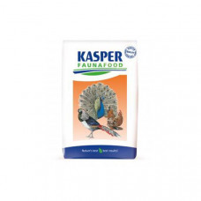 KFF GALLUS 1 OPFOKMEEL 20 KG