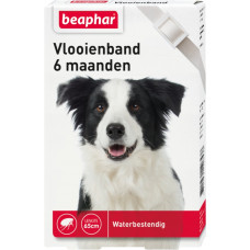 VLOOIENBAND HOND WIT DIAZ