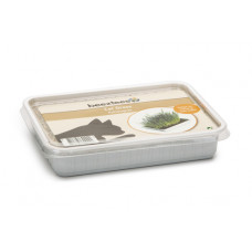 BZ KATTENGRAS IN PLASTIC BOX 130G