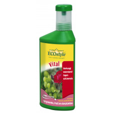 VITAL CONCENTRAAT 250 ML