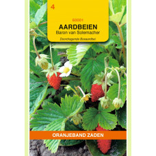 OBZ AARDBEIEN BARON VON SOLEMACHER