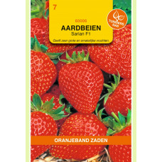 OBZ AARDBEIEN GRANDIAN (VH SARIAN) F1