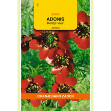 OBZ ADONIS, KOOLTJE VUUR, ROOD