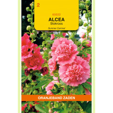 OBZ ALTHAEA (ALCEA), STOKROOS SUMMER CARNAVAL