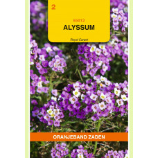 OBZ ALYSSUM ROYAL CARPET