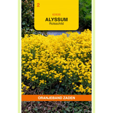 OBZ ALYSSUM, ROTSSCHILD