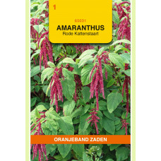 OBZ AMARANTHUS, KATTENSTAART ROOD