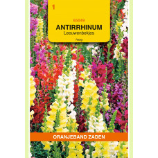 OBZ ANTIRRHINUM, LEEUWENBEKJE, HOOG GEMENGD