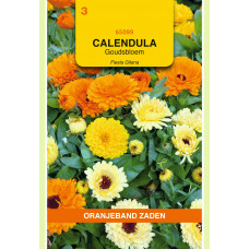 OBZ CALENDULA, GOUDSBLOEM FIESTA GITANA