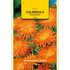 OBZ CALENDULA, GOUDSBLOEM RADIO