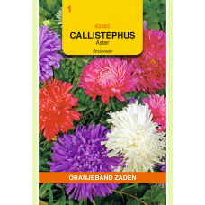 OBZ CALLISTEPHUS, ASTER STRUISVEDER GEMENGD