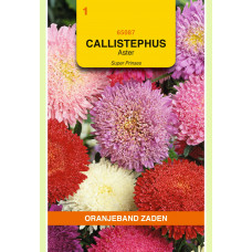 OBZ CALLISTEPHUS, ASTER SUPER PRINSES GEMENGD