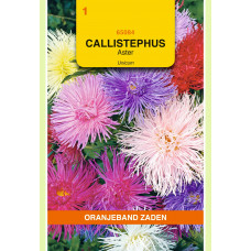 OBZ CALLISTEPHUS, ASTER UNICUM GEMENGD