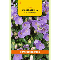 OBZ CAMPANULA, KARPATENKLOKJE