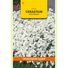 OBZ CERASTIUM, HOORNBLOEM, WIT