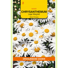 OBZ CHRYSANTHEMUM, LAGE MARGRIET SILVER PRINCESS