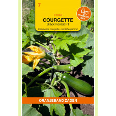 OBZ COURGETTE KLIMMEND BLACK FOREST F1