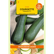 OBZ COURGETTE PARTENON F1