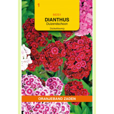 OBZ DIANTHUS, DUIZENDSCHOON DUBBELBLOEMIG GEMENGD