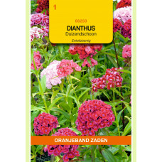 OBZ DIANTHUS, DUIZENDSCHOON ENKELBLOEMIG GEMENGD