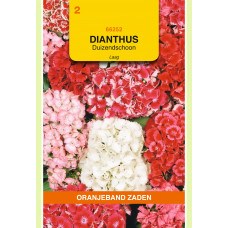 OBZ DIANTHUS, DUIZENDSCHOON GEMENGD LAAG