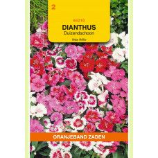 OBZ DIANTHUS, DUIZENDSCHOON WEE WILLIE GEMENGD