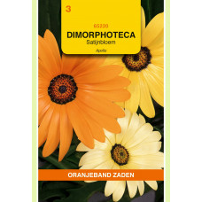 OBZ DIMORPHOTECA, SATIJNBLOEM APOLLO