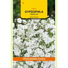 OBZ GYPSOPHILA, GIPSKRUID COVENT GARDEN