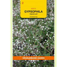 OBZ GYPSOPHILA, GIPSKRUID ENKELBLOEMIG WIT