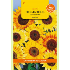 OBZ HELIANTHUS, ZONNEBLOEM MUSICBOX GEMENGD