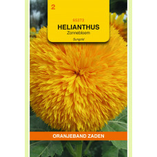 OBZ HELIANTHUS, ZONNEBLOEM SUNGOLD DUBBELBLOEMIG HOOG