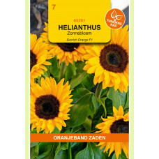 OBZ HELIANTHUS, ZONNEBLOEM SUNRICH ORANGE F1