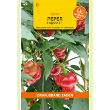 OBZ HOT PEPPER PEPPINO BALKON