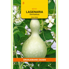 OBZ LAGENARIA, SIERKALEBAS GIANT BOTTLE