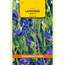 OBZ LATHYRUS , REUK- OF SIERERWT ROYAL, BLAUW