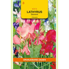 OBZ LATHYRUS, REUK- OF SIERERWT COLORAMA GEMENGD